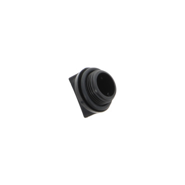 Ensemble bouchon et joint - pour Pompe à eau thermique moteur 5,5CV 4 tps - pièce de rechange pour ref OXEO 760404