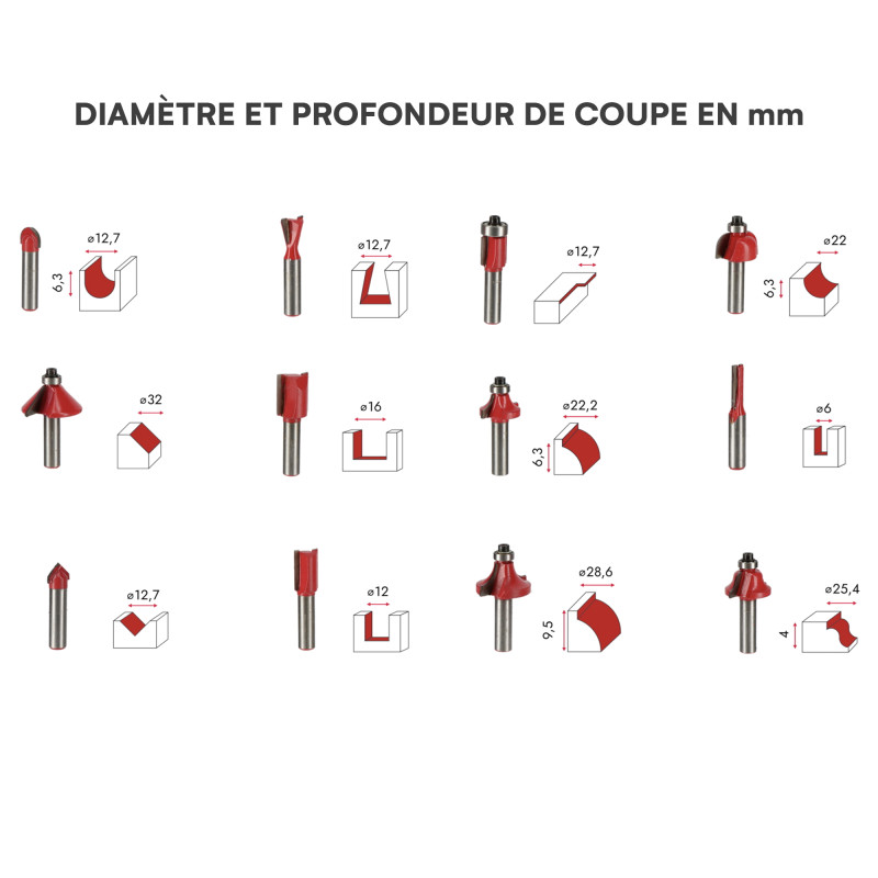 Jeu de 12 fraises pour défonceuse
