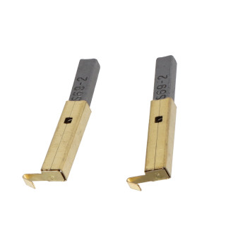 Lot de 2 charbons - pour Aspirateur à cendres - pièce de rechange pour ref OXEO 760352