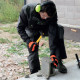 Gants de manutention anti-vibrations