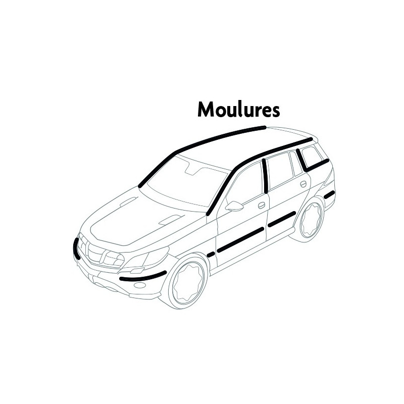 Coffret d'agrafes moulures RENAULT et DACIA