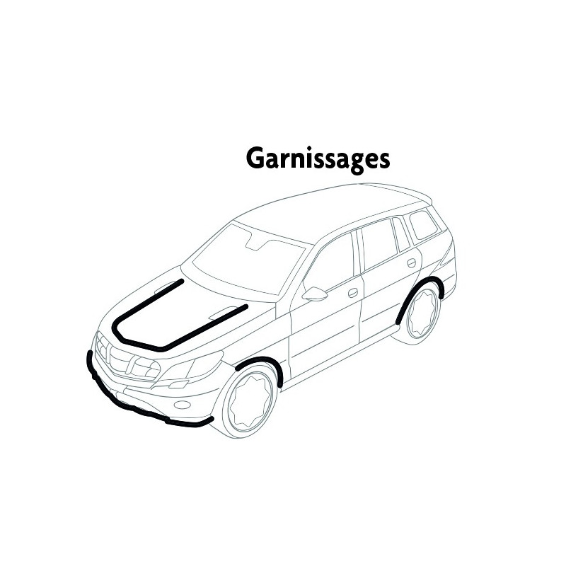 Coffret d'agrafes de garnissages RENAULT et DACIA