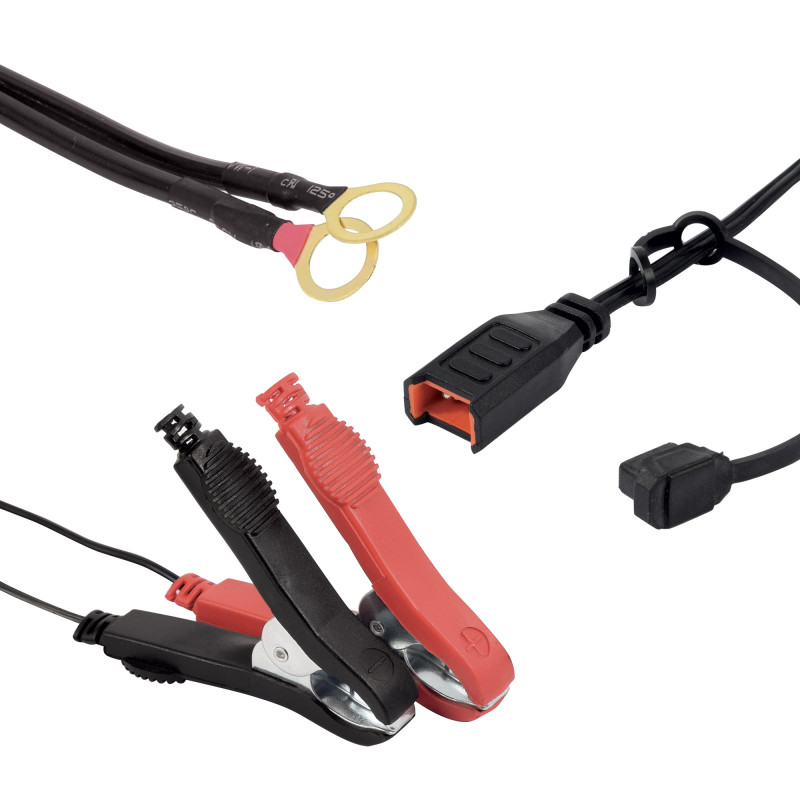 Chargeur et maintien de charge automatique intelligent 12V-12A/24V-6A