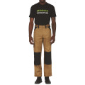 Dickies Pantalon Homme Everyday – Beige Antique – Solide & Confortable – Idéal pour les Pros