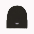 Bonnet Dickies Noir – Maille Acrylique à Revers – Chaleur & Style Urbain