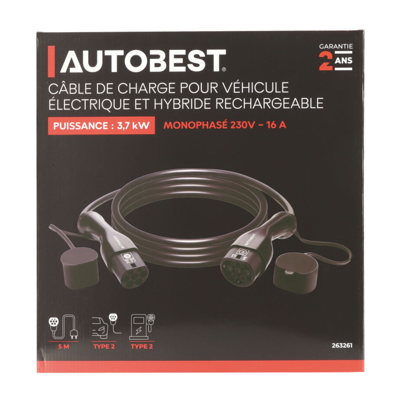Câble véhicule électrique hybride 5M 16A 230V