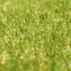 Gazon synthétique artificiel rouleau 8m2 - 1230g/m2 - Épaisseur 2cm - Pelouse synthétique balcon, terrasse - Effet Naturel