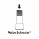 Bouchons de valve x5