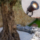 Spot extérieur avec piquet X6 - Pour Ampoule LED GU10 - Câble 1m50 - Éclairage de Jardin à piquer - Orientable - Étanche IP65