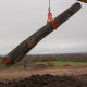 Pince forestière double capacité 1500 kg - pour troncs max 100cm - Pince de levage 4 mandrins de serrage - Force 1,5 tonnes