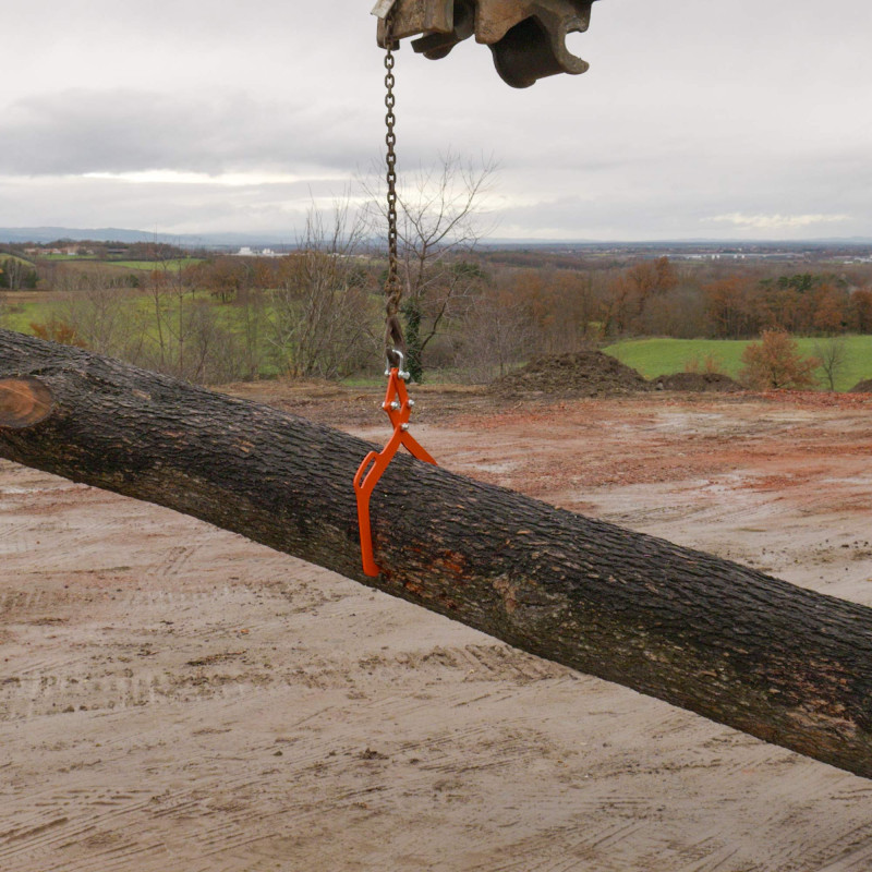Pince forestière capacité 1000 kg - pour troncs max. 700 mm - Pince de levage 2 mandrins de serrage - Force 1 tonne - poignée